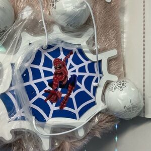 Spider-Man Web Design Wall Decor